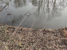 Alter Neckar (Altbach)-1