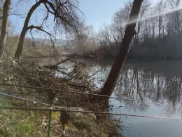 Alter Neckar (Altbach)-3