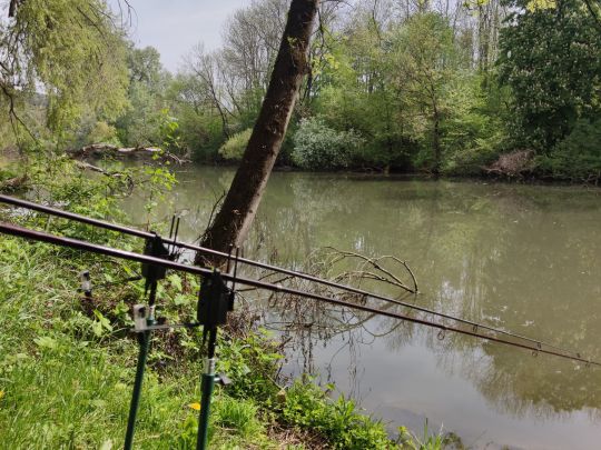 Alter Neckar (Altbach)-4