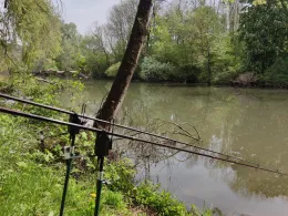 Alter Neckar (Altbach)-4