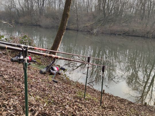 Alter Neckar (Altbach)-2