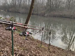 Alter Neckar (Altbach)-2