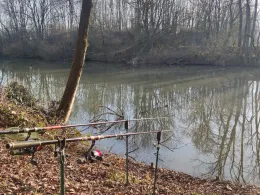 Alter Neckar (Altbach)