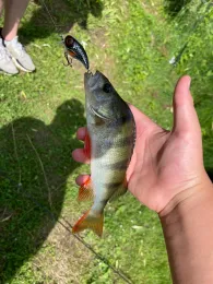 Hinterer Gotthardteich (Merseburg)-3