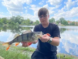 Hinterer Gotthardteich (Merseburg)-4