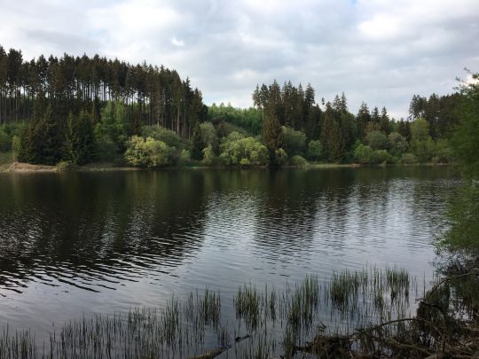 Überleitungssperre Königshütte-2