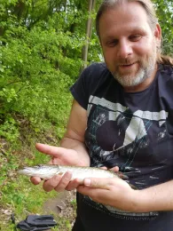 Ziegeleikuhle (Giesendorf)