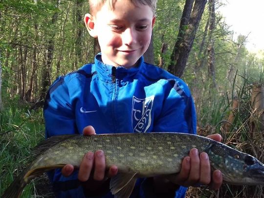 Ziegeleikuhle (Giesendorf)-2