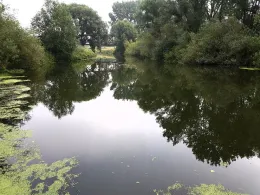 Aller (Müden/Aller)-1