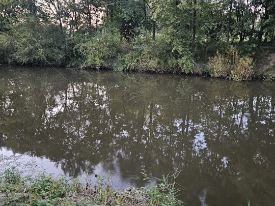 Aller (Müden/Aller)-2