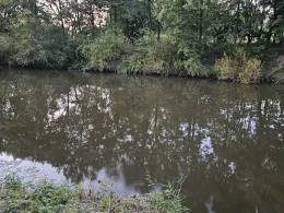 Aller (Müden/Aller)-2