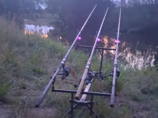 Aller (Müden/Aller)-4