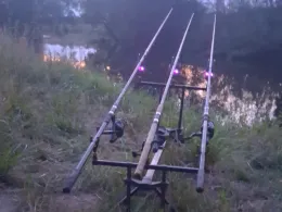 Aller (Müden/Aller)-4