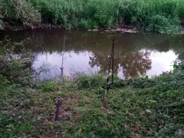 Aller (Müden/Aller)