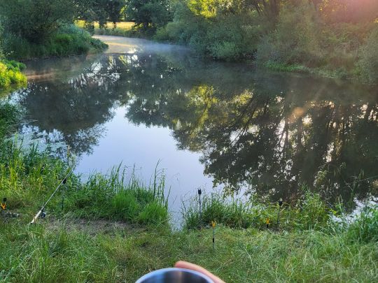 Aller (Müden/Aller)-3