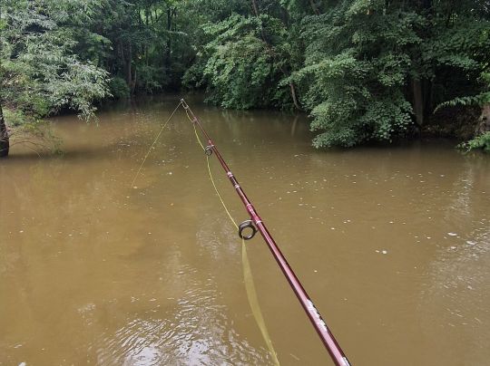 Steinach (Mitwitz)-1