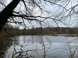 Teichwiesenteiche Volksdorf-2