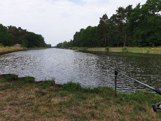 Oder-Spree-Kanal (Groß Lindow) angeln
