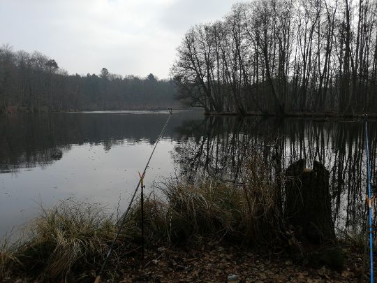 Mühlenteich (Schloß Dammsmühle)-1