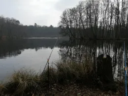 Mühlenteich (Schloß Dammsmühle)-1