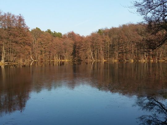 Mühlenteich (Schloß Dammsmühle)-0