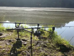 Mühlenteich (Schloß Dammsmühle)-3