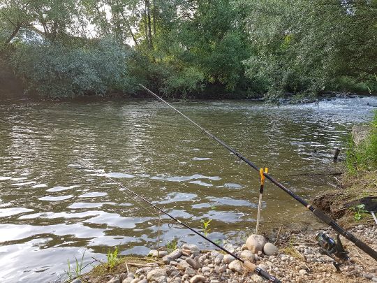 Schussen (Meckenbeuren)-3