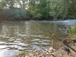 Schussen (Meckenbeuren)-3