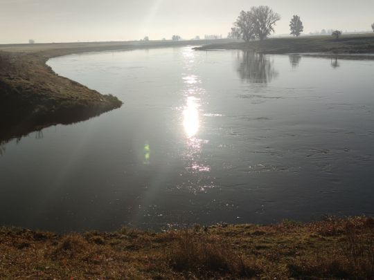 Elbe (Dommitzsch/Prettin)-4