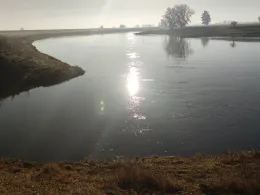 Elbe (Dommitzsch/Prettin)-4