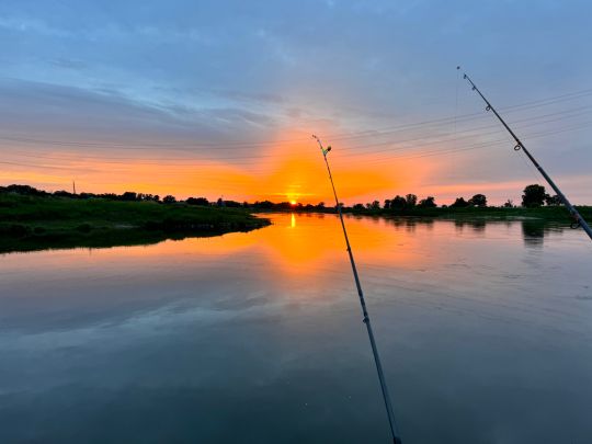 Elbe (Dommitzsch/Prettin)-2