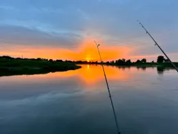 Elbe (Dommitzsch/Prettin)-2