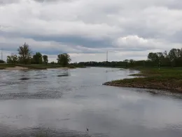 Elbe (Dommitzsch/Prettin)-1