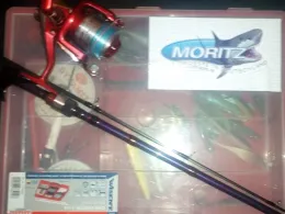 Kiwittsmoorteiche (Hamburg)