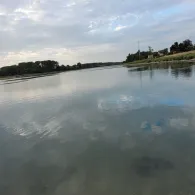 Rhein (Karlsruhe)-4