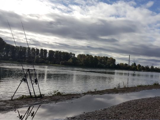 Rhein (Karlsruhe)-3