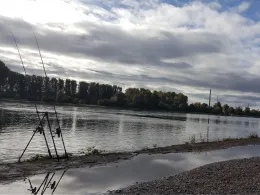 Rhein (Karlsruhe)-3