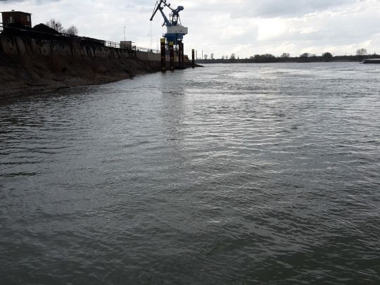 Rhein (Rheinberg)-4