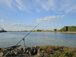 Rhein (Rheinberg)-4