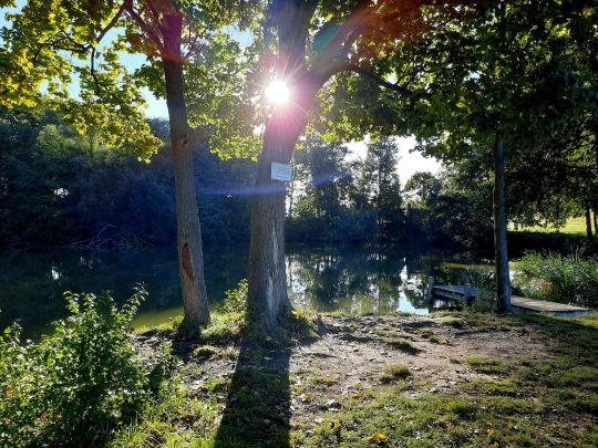 Lindiggutsteich (Leippen)-4