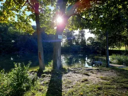 Lindiggutsteich (Leippen)-4