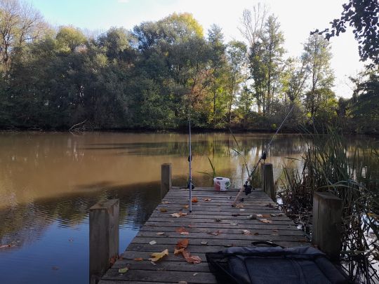 Lindiggutsteich (Leippen)-3