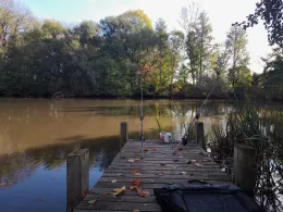 Lindiggutsteich (Leippen)-3