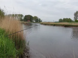 Oste (Brobergen-Kranenburg)