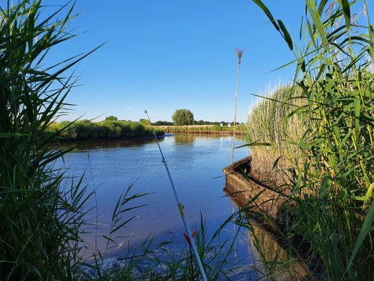 Oste (Brobergen-Kranenburg) angeln
