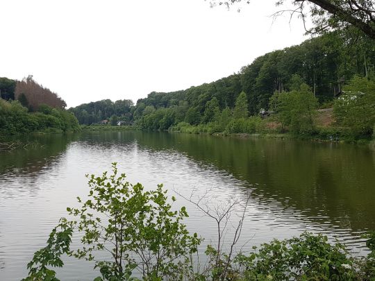 Diepentaler Talsperre-2