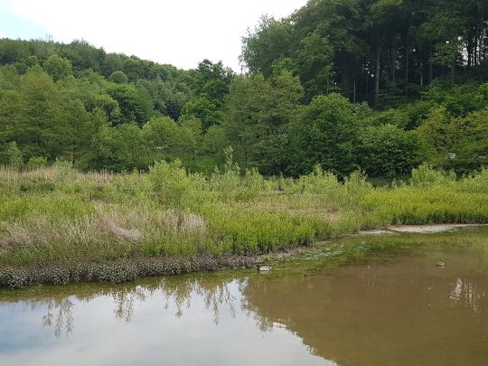 Diepentaler Talsperre-3