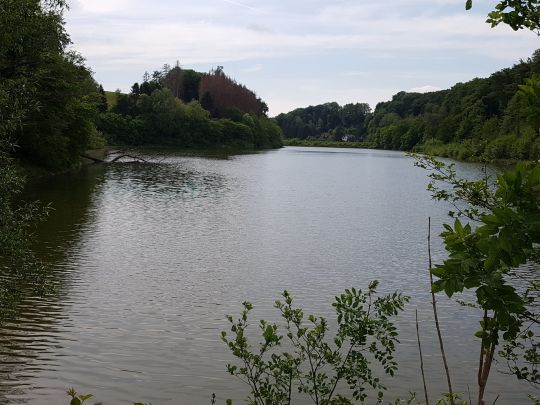 Diepentaler Talsperre-4