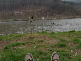 Main (Lohr am Main)-3