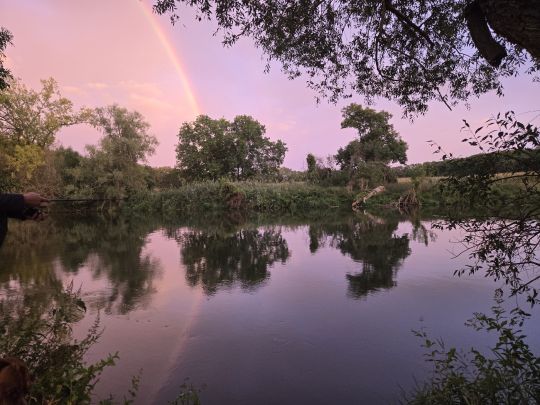 Saale (Bad Dürrenberg)-2